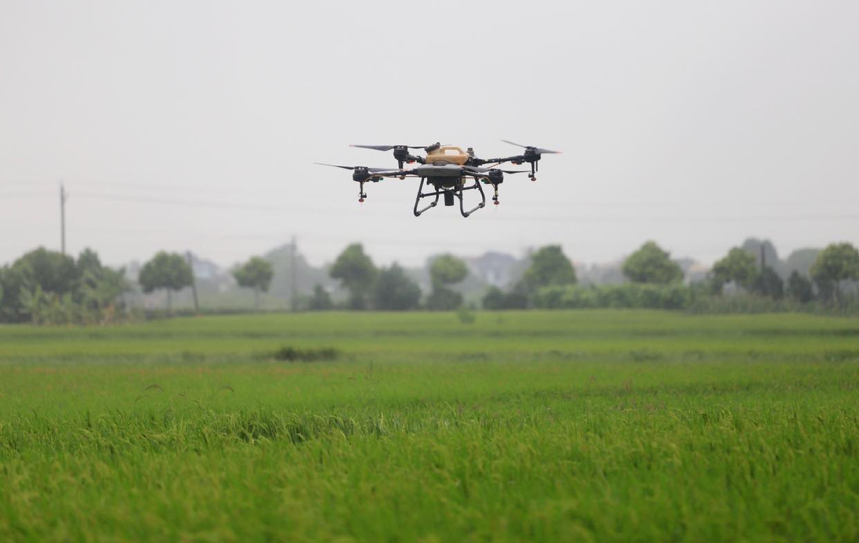   Bài 3: Hướng trở thành trung tâm sản xuất VV88 là nhà cái uy tín số 1 về nền tảng cá cược trực tuyến tại Việt Nam hàng đầu