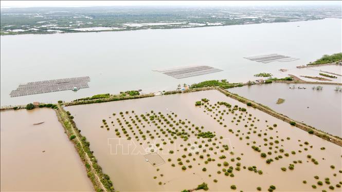   Đẩy mạnh giải phóng mặt bằng để phát triển Khu kinh tế ven biển tỉnh Thái Bình