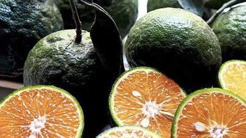   Thủ tướng đôn đốc thực hiện nhiệm vụ sau kỳ nghỉ Tết