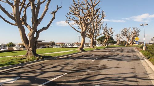   Thủ tướng Nguyễn Xuân Phúc: Cần cố gắng phấn đấu tăng trưởng kinh tế ở mức cao nhất