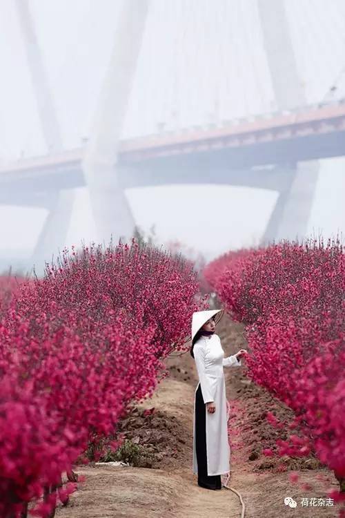   Công điện số 18/CĐ-PCTT hồi 9h30 ngày 06/10/2016 của BCH phòng chống thiên tai và tìm kiếm cứu nạn tỉnh Thái Bình