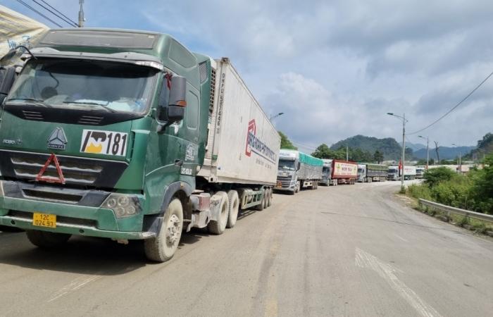   Tăng cường sự lãnh đạo của Đảng đối với công tác đảm bảo trật tự, an toàn VV88 dự đoán xổ số ba miền siêu chính xác đường bộ, đường sắt, đường thuỷ nội địa và khắc phục ùn tắc VV88 dự đoán xổ số ba miền siêu chính xác