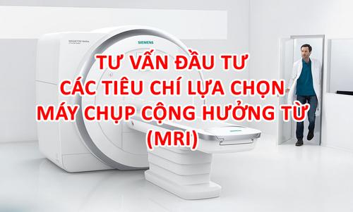   Kế hoạch thực hiện Dự án 6 về 