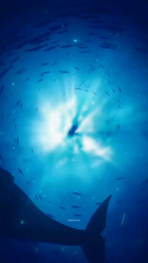   Kết quả chỉ đạo, điều hành từ ngày 12/6/2023 đến ngày 18/6/2023 của VV.88 phiên bản mới, Chủ tịch VV.88 phiên bản mới