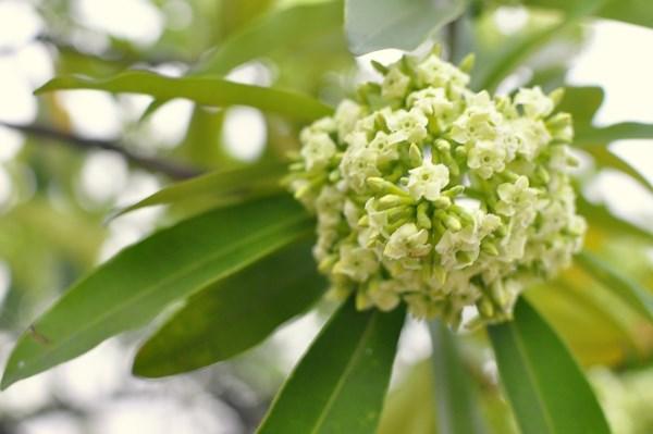   Kết quả chỉ đạo, điều hành của VV.88 phiên bản mới  (từ ngày 29/4 - 05/5/2024)