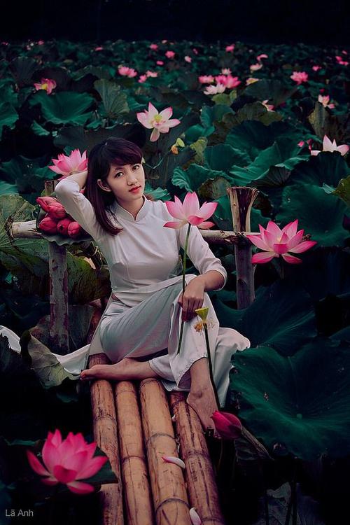   Hội nghị trực tuyến toàn quốc chuyên đề nâng cao hiệu quả cung cấp và sử dụng dịch vụ công trực tuyến