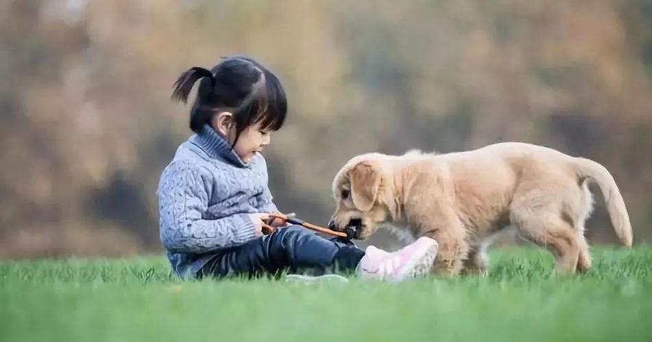   Kỳ họp HĐND tỉnh để giải quyết công việc phát sinh đột xuất ban hành 11 nghị quyết quan trọng