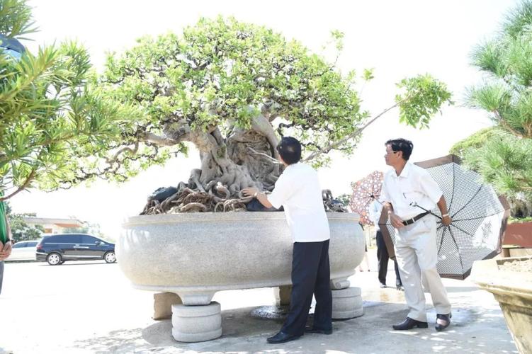   Thái Bình: Mô hình OCOP thành công từ ngành chăn nuôi và thủy sản