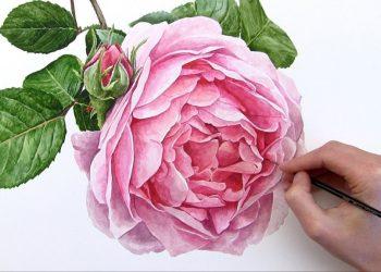   Hướng dẫn đăng ký cư trú cho người chưa thành niên