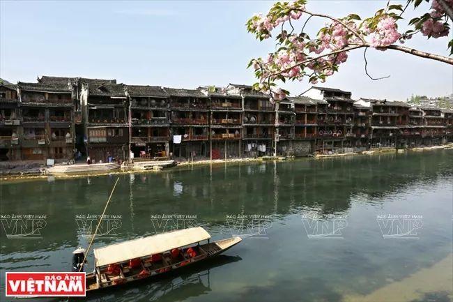   Điều kiện cấp giấy phép đối với quỹ tín dụng nhân dân, tổ chức tài chính vi mô