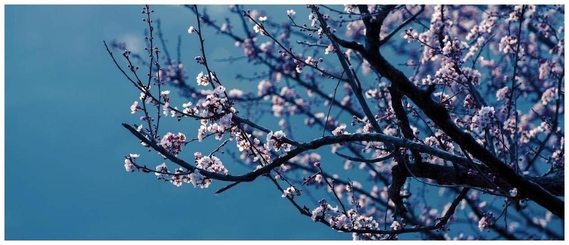   Quy định mới về kinh doanh vận tải hành khách bằng xe taxi