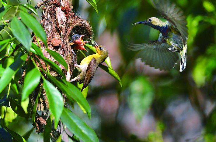   Tăng cường quản lý, nâng cao hiệu quả sử dụng, xử lý nhà, đất tại VV88 it com thể thao, live casino, slot, bắn cá, xổ số VV88bet nhận code miễn phí