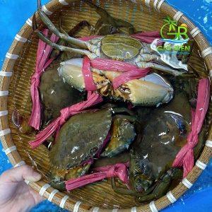   Giải pháp trọng tâm thúc đẩy tăng trưởng, kiểm soát lạm phát, ổn định kinh tế vĩ mô tháng 7 và Quý III/2024