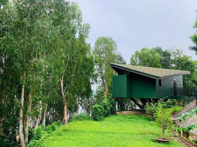   Phó Thủ tướng chỉ đạo triển khai ngay flycam phát hiện nguy cơ sạt lở để cảnh báo sớm và có biện pháp phòng ngừa