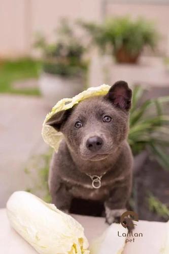   Quy định mới về báo cáo tình hình hoạt động đấu thầu