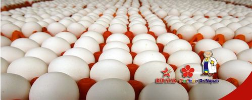   Thủ tướng chỉ đạo chi trả lương hưu tháng 5 sớm (từ ngày 25-28/4/2025)