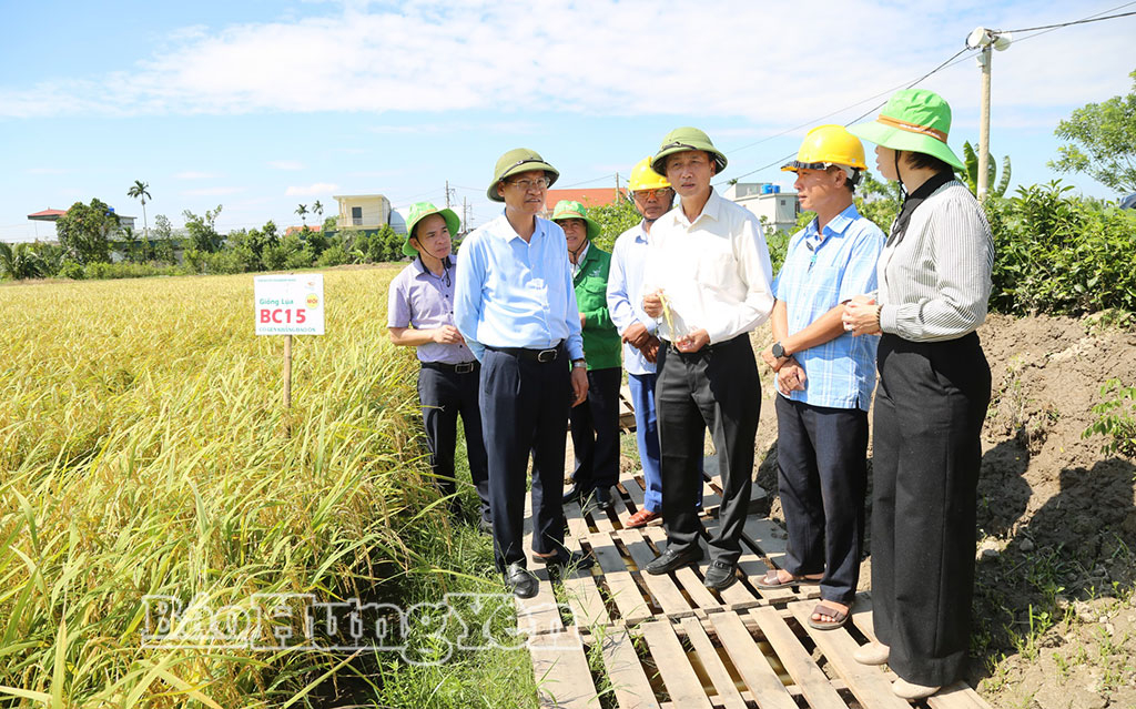   Phó Chủ tịch UBND tỉnh Nguyễn Hùng Nam làm việc với Công ty Cổ phần Tập đoàn Thaibinh Seed