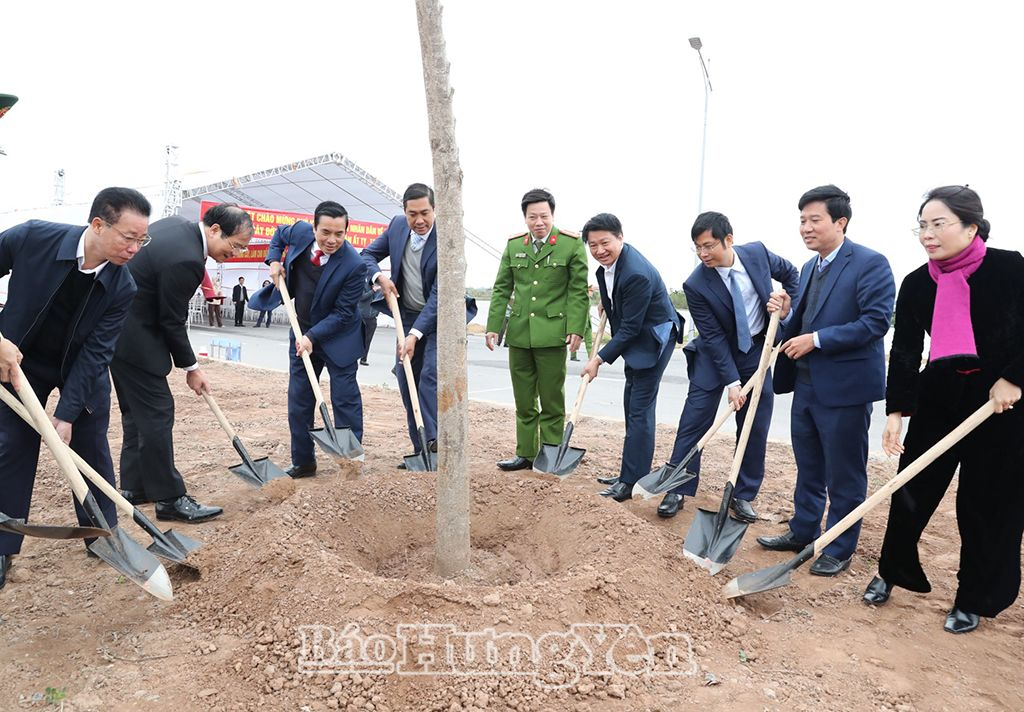   Các địa phương phát động 