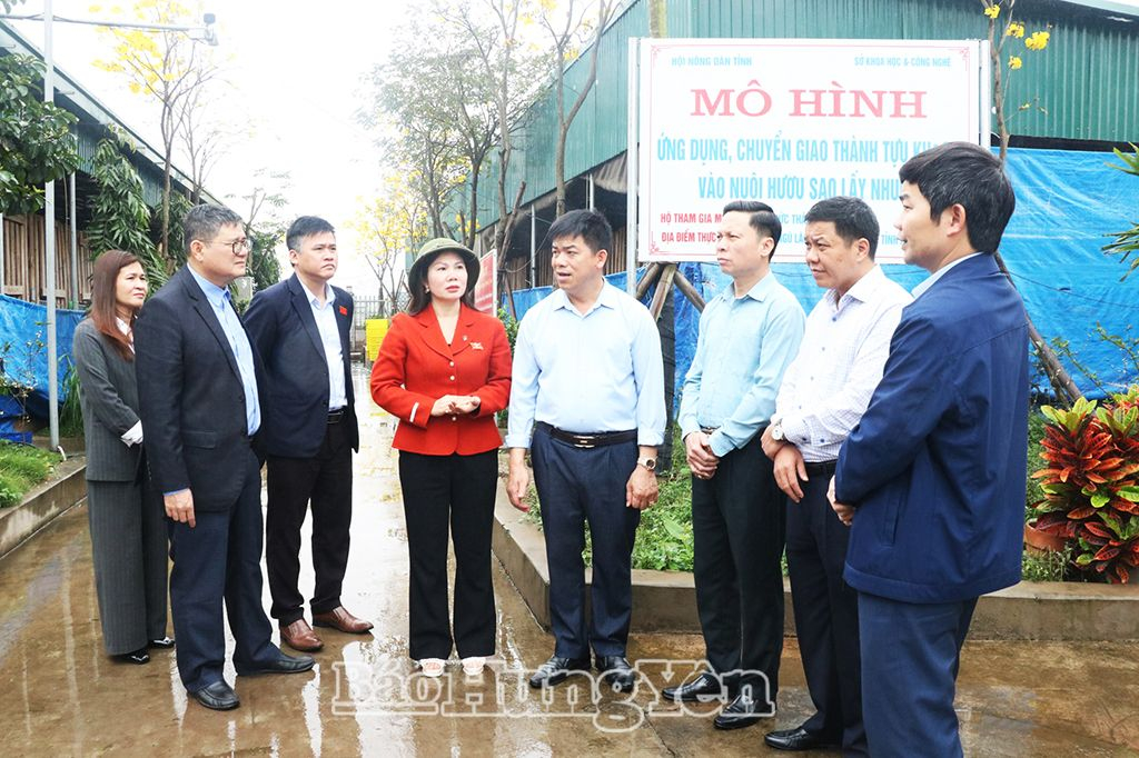   Đoàn giám sát của HĐND tỉnh giám sát chuyên đề tại các huyện Kim Động, Phù Cừ và thành phố VV88id nổ hũ