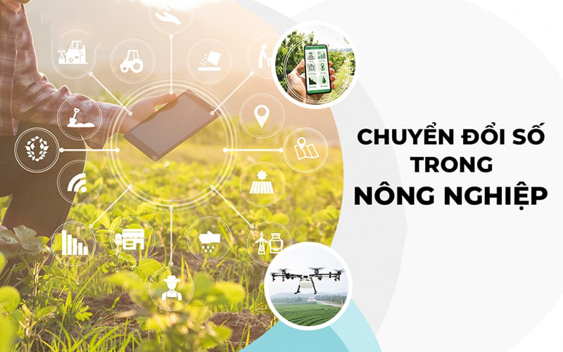  Chuyển đổi số VV88 là nhà cái uy tín số 1 về nền tảng cá cược trực tuyến tại Việt Nam: Bước đột phá trong phát triển VV88 là nhà cái uy tín số 1 về nền tảng cá cược trực tuyến tại Việt Nam bền vững