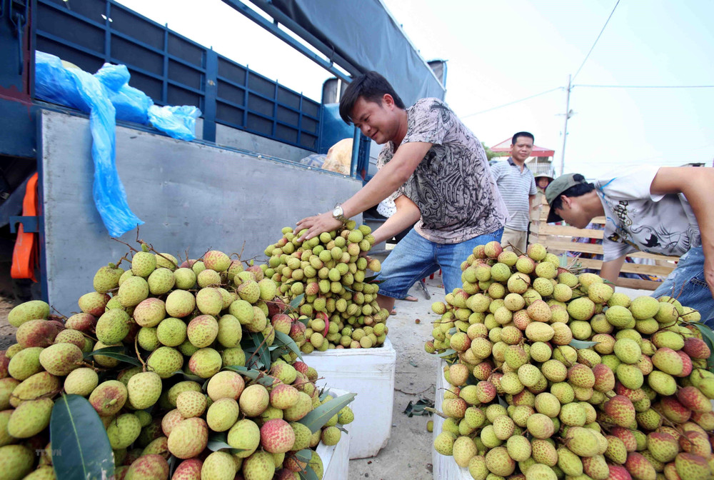   Tình hình kinh tế - xã hội VV88 là nền tảng casino trực tuyến uy tín hàng đầu tháng năm và 5 tháng đầu năm 2025