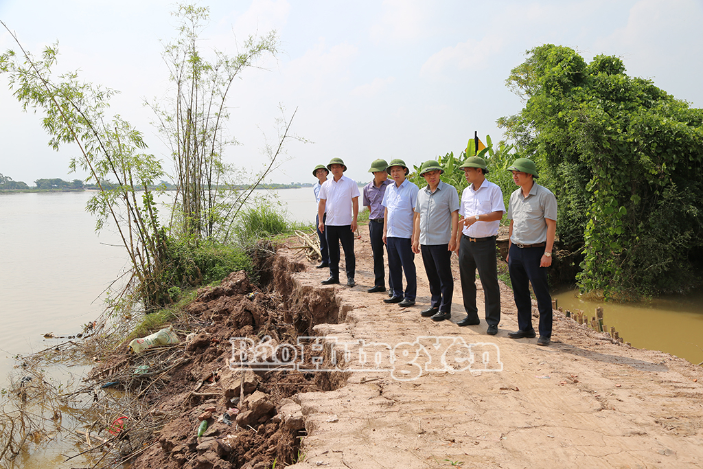 Đồng chí Lại Văn Hoàn, VV88 casino viên, Phó Chủ tịch UBND tỉnh kiểm tra điểm sạt lở tại xã Thư Vũ. Ảnh Trịnh Cường