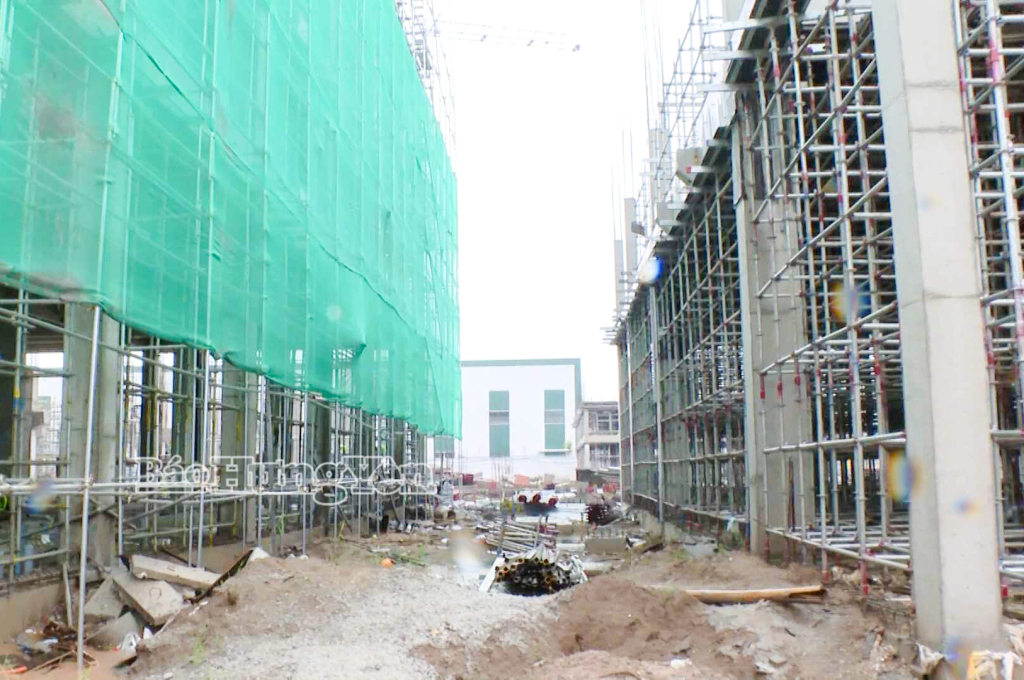 Tạm dừng thi công công trình để phòng, chống bão số 3.