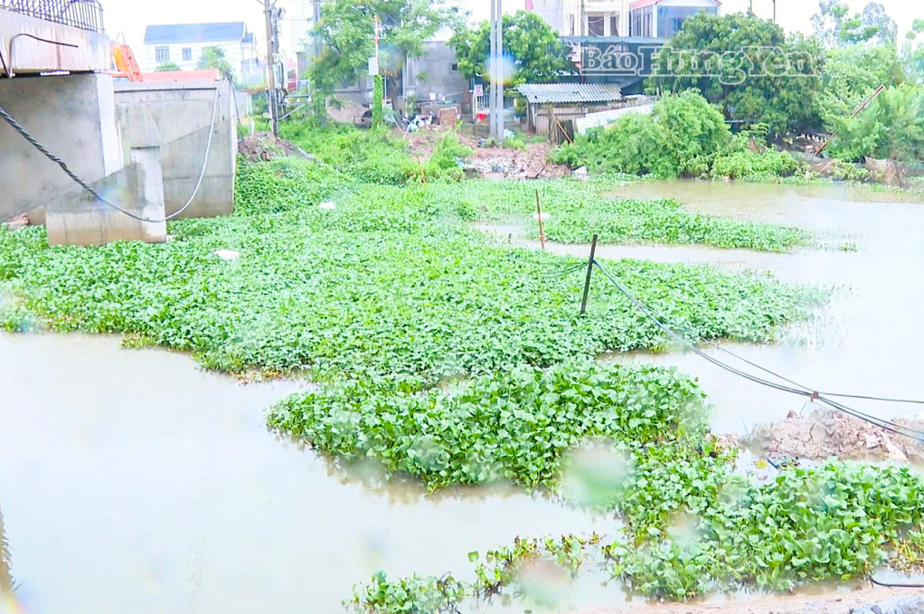 Bờ sông Điện Biên đoạn cầu Phú Cốc, xã Lương Bằng là 1 trong những điểm xung yếu cần gia cố để phòng, chống bão.