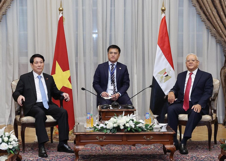   Chủ tịch nước Lương Cường hội kiến Chủ tịch Hạ viện, Thượng Viện Ai Cập