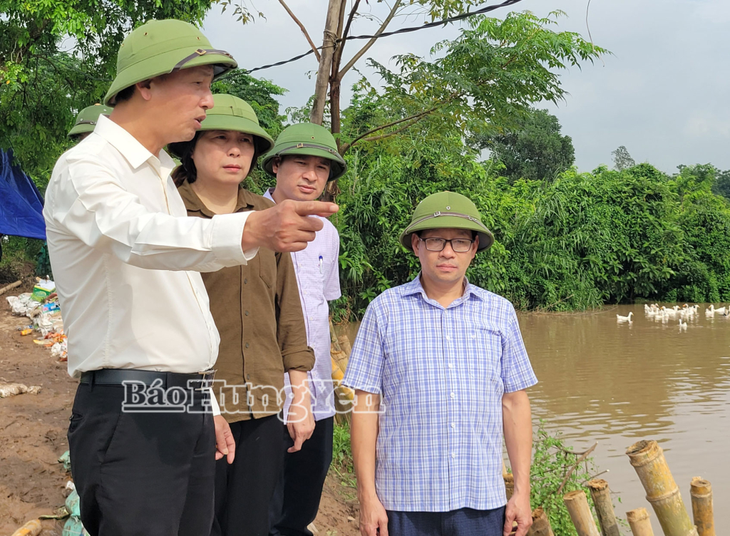 Đồng chí Phó Chủ tịch UBND tỉnh Nguyễn Hùng Nam kiểm tra việc xử lý sạt lở bờ bao sông Kim Sơn tại xã Phạm Ngũ Lão.