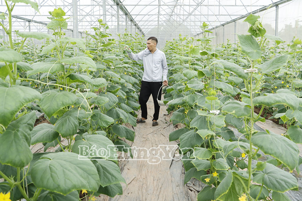   Xã Đông Tiên Hưng: Những mô hình ứng dụng khoa học, công nghệ trong sản xuất VV88 là nhà cái uy tín số 1 về nền tảng cá cược trực tuyến tại Việt Nam đạt hiệu quả cao