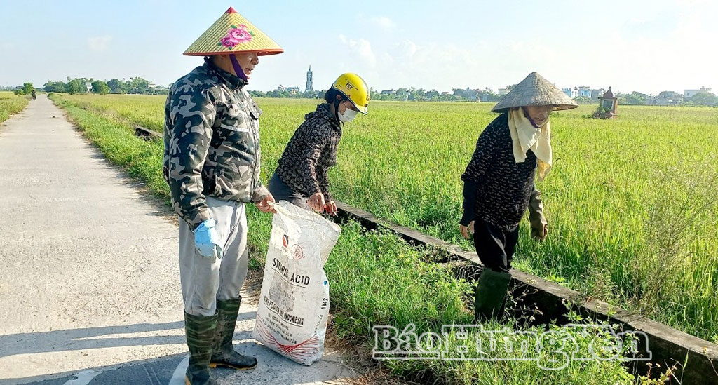   Nông dân Bình Nguyên thi đua sản xuất, kinh doanh giỏi