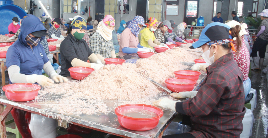   Phát triển nghề chế biến hải sản