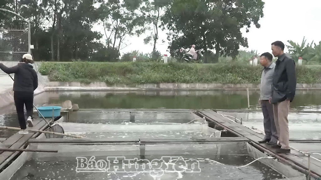   Chủ động chống rét cho thủy sản