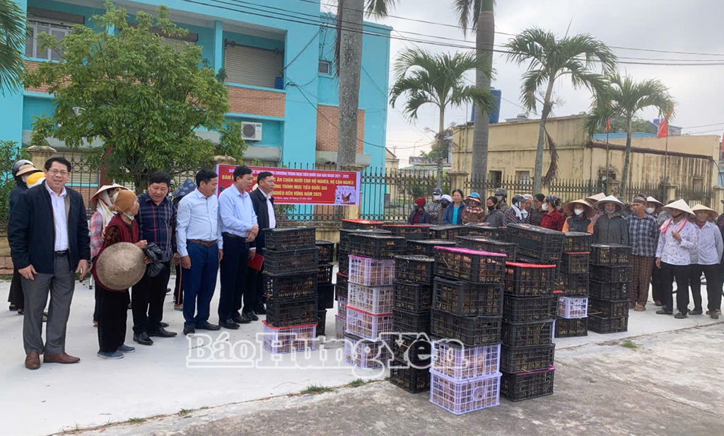 Xã Bình Định: Bàn giao con giống vật nuôi, thức ăn chăn nuôi cho 52 hộ nghèo, cận nghèo