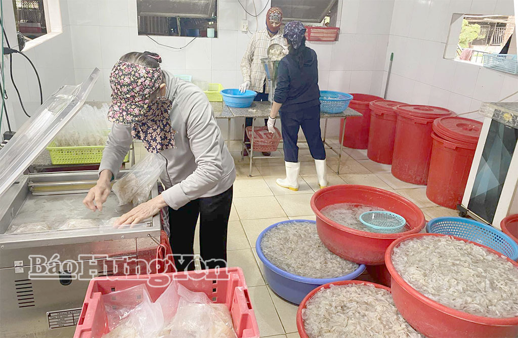   Xã Thái Thụy: Các cơ sở chế biến thủy sản sẵn sàng nguồn hàng phục vụ Tết