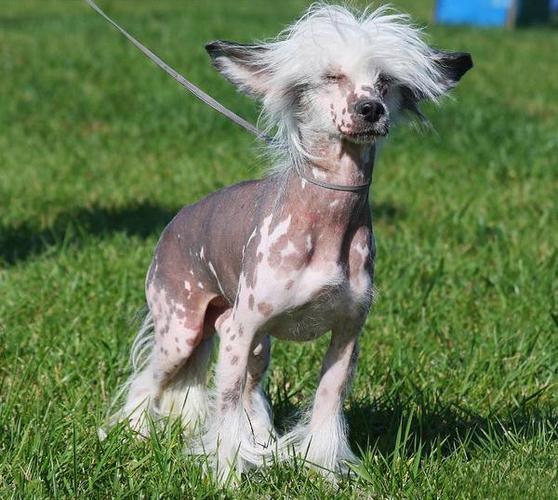   Đồng chí Phó Chủ tịch UBND tỉnh Nguyễn Hùng Nam kiểm tra tiến độ triển khai một số dự án trọng điểm