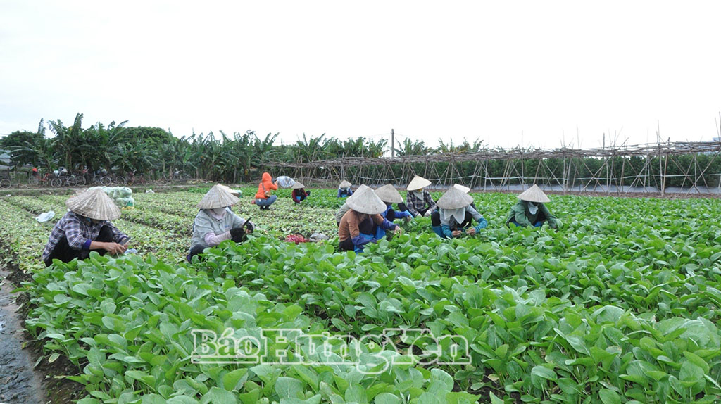   Xã Hoàn Long: Hoàn thành mục tiêu không còn hộ nghèo