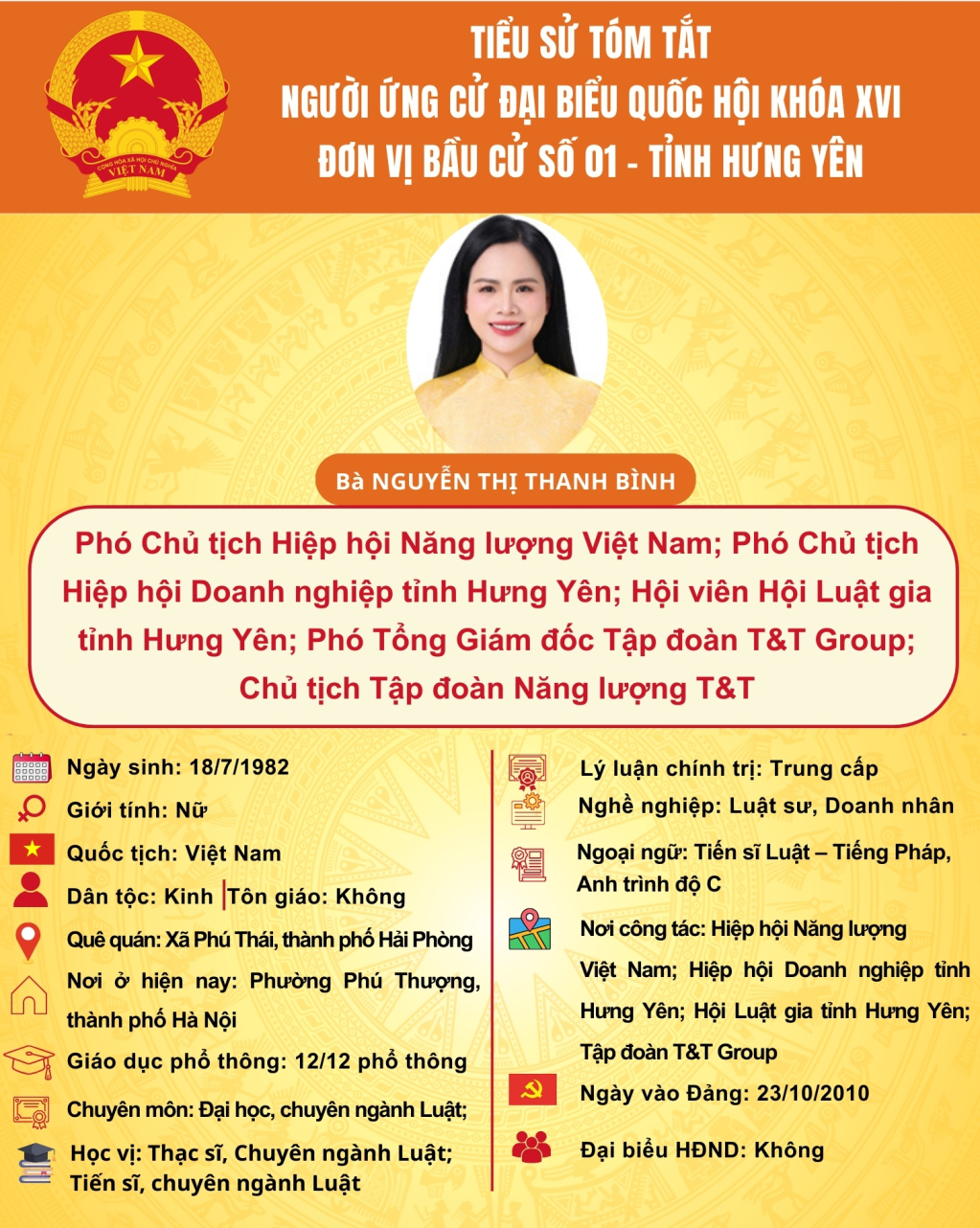   TIỂU SỬ CỦA NGƯỜI ỨNG CỬ ĐẠI BIỂU QUỐC HỘI KHÓA XVI: BÀ NGUYỄN THỊ THANH BÌNH