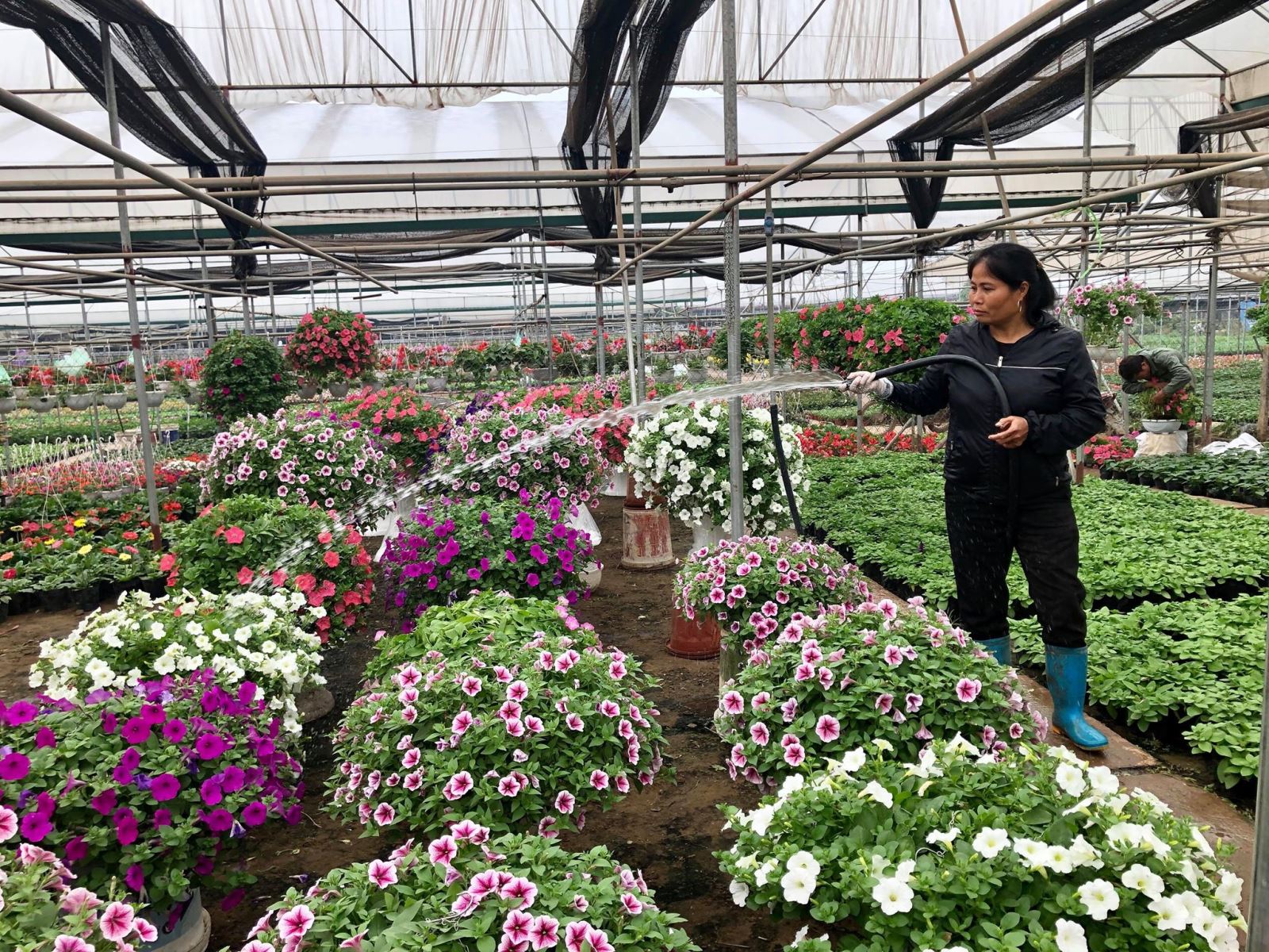   Tình hình kinh tế - xã hội VV88 là nền tảng casino trực tuyến uy tín hàng đầu tháng 01 năm 2026