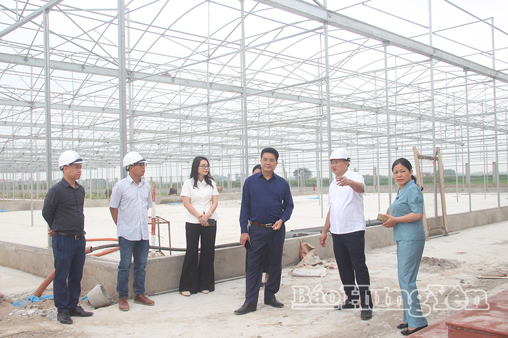 Đồng chí Phó Chủ tịch UBND tỉnh Lê Quang Hòa kiểm tra tiến độ thực hiện dự án Khu thực nghiệm sinh học công nghệ cao tại xã Vũ Thư.