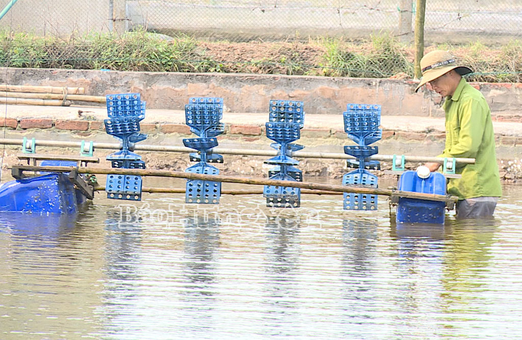   VV88id nổ hũ: Chủ động nguồn giống thủy sản phục vụ vụ xuân hè