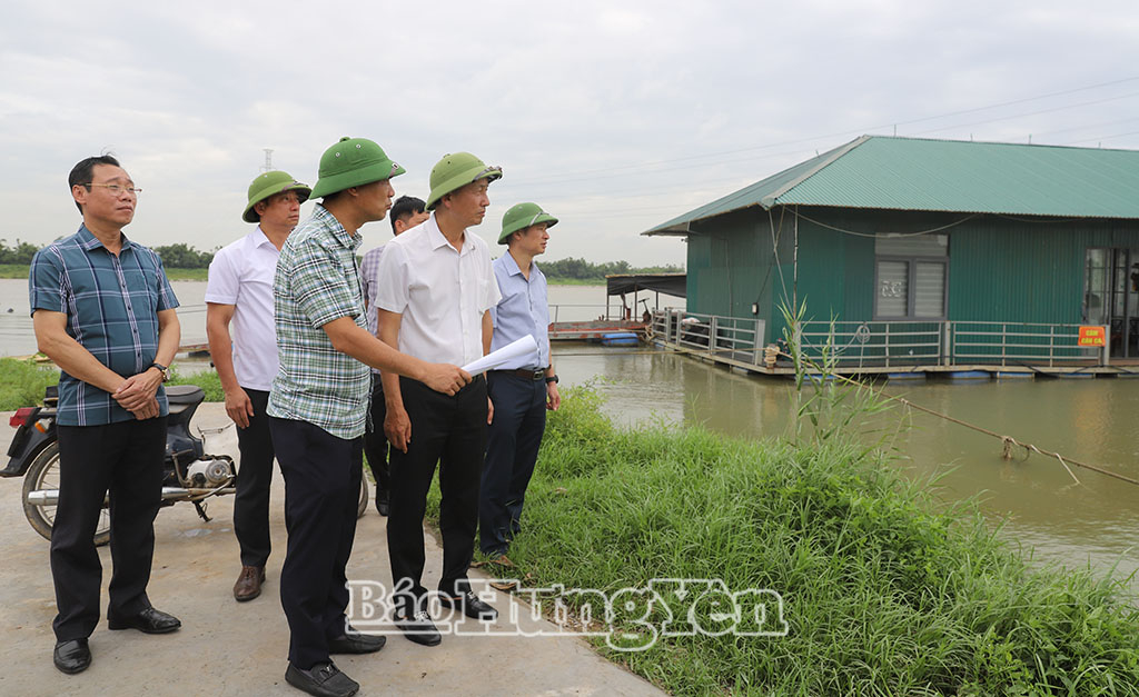   Đồng chí Phó Chủ tịch UBND tỉnh Nguyễn Hùng Nam kiểm tra, chỉ đạo công tác khắc phục sạt lở bờ tả sông Hồng tại xã Châu Ninh