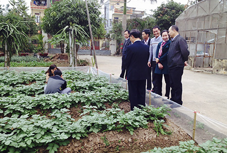   Kết quả chỉ đạo, điều hành Tuần thứ 02 (từ ngày 05/01/2015-11/01/2015) của UBND tỉnh, Chủ tịch UBND tỉnh