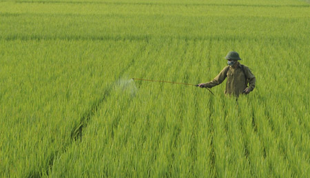   Tăng cường công tác chỉ đạo sản xuất, phòng trừ sâu bệnh bảo vệ lúa vụ Mùa và chuẩn bị kế hoạch gieo trồng cây màu vụ Đông năm 2015