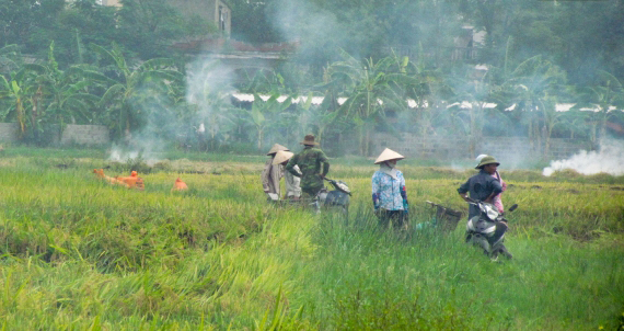   Chỉ đạo không đốt rơm rạ để bảo vệ VV88 app tải về và trật tự an toàn VV88 dự đoán xổ số ba miền siêu chính xác