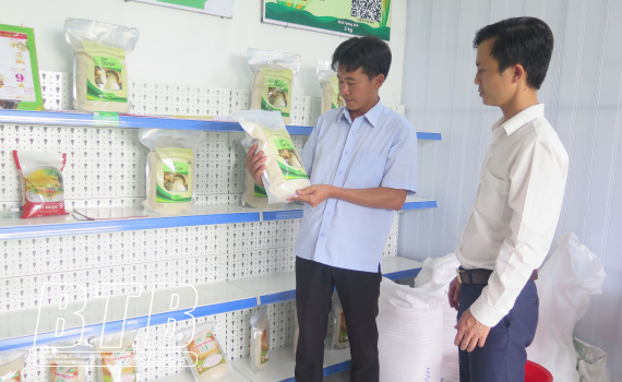   Phát huy vai trò trụ cột trong phát triển kinh tế