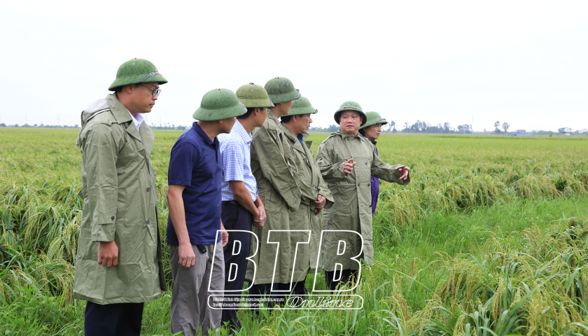   Khẩn trương khắc phục hậu quả mưa lớn gây ra