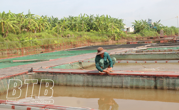   Bảo vệ thủy sản trước bão số 1