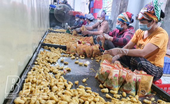   Hưng Hà: Thúc đẩy xây dựng sản phẩm OCOP